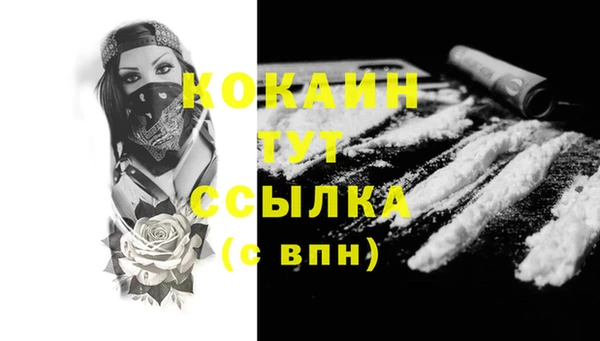 таблы Няндома