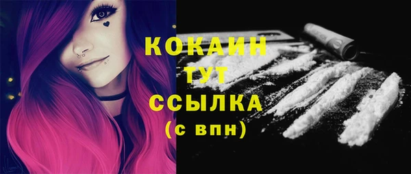 таблы Няндома
