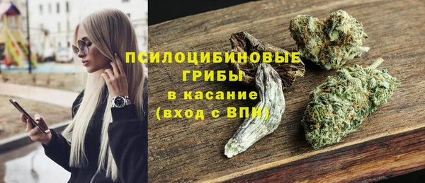 сатива Нягань