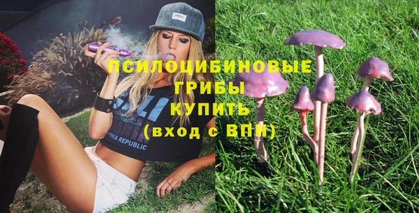 таблы Няндома