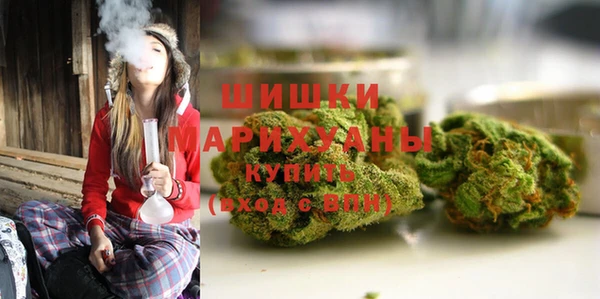 сатива Нягань