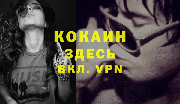 таблы Няндома